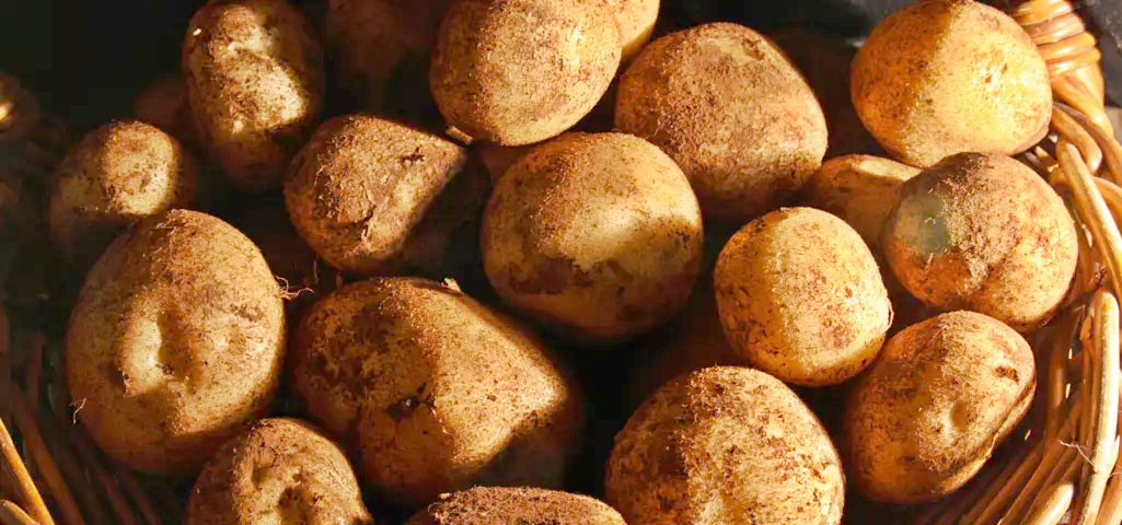 Potatoes: A Healthy Choice for Your Customers
